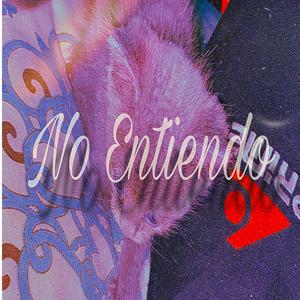 No entiendo