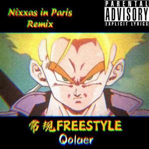 Jay-Z-常规FREESTYLE（Qolaer remix）