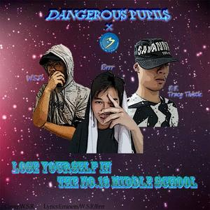 Eminem-Lose Yourself In the No.13 Middle School（布尔Brrr / 芒笙Tracy Thistle / W.S.R. remix）