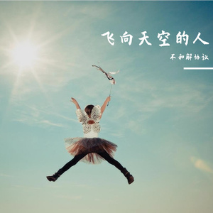 飞向天空的人