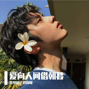 爱向人间借朝暮