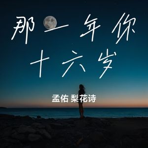 那一年你十六岁