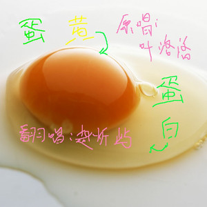 蛋黄蛋白