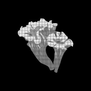 说点 feat.AKA 雷公