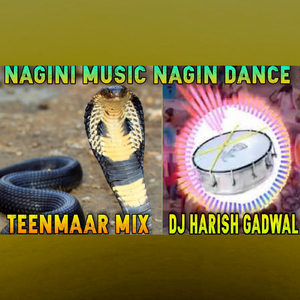 Nagini Music Nagin Dance (Teenmaar Mix)