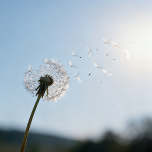 多少不舍才算洒脱