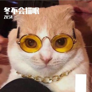 [FREE]"冬不会猫眠"