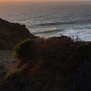 总有一天你会站在梦想之巅