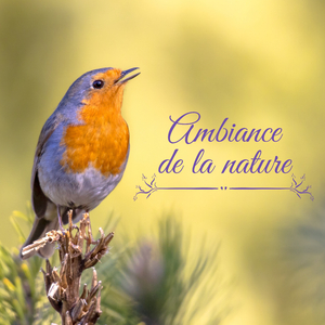 Pluie du matin dans le jardin