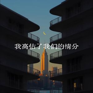 我高估了我们的情份