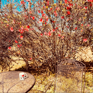 Landlocked (Band Version)