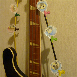 寄ってくるもの