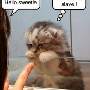 U Don't Know (slowed)