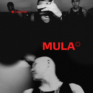 Mula