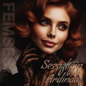 Sessizliğin Ardında