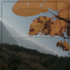 Talvez Amanhã Eu Não Esteja Aqui