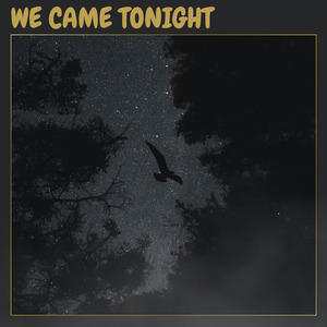 We Came Tonight