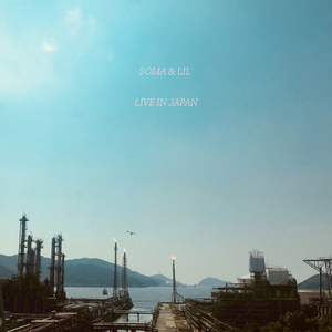 Birds in the forest of Meiji Jingū, Tokyo + Reeds and insects at Tadewara Wetlands, Oita