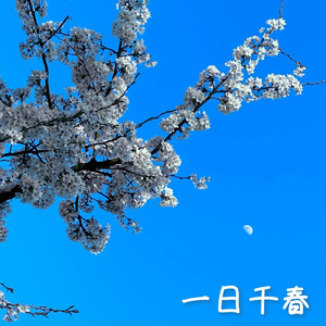 一日千春