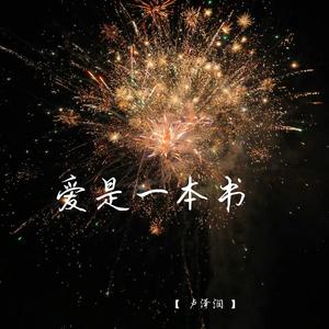 爱是一本书 (深情女生版)