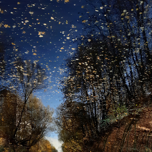 Geh, Finnito, geh (DA-Version)