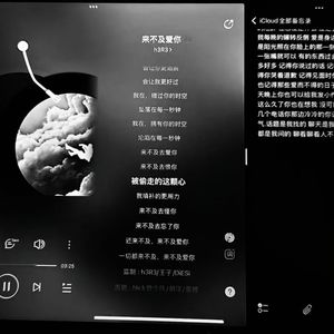 来不及爱你（纯尾奏）