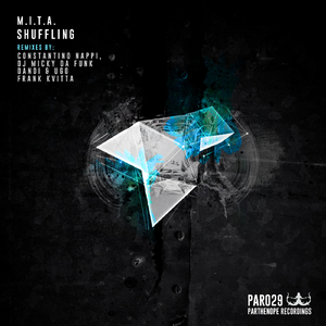 Shuffling (Frank Kvitta Remix)