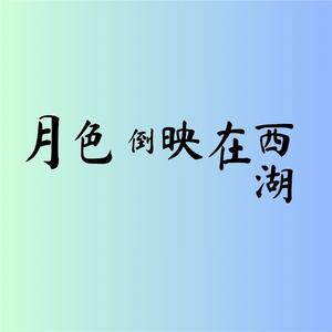 月色倒映在西湖