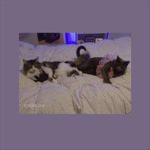 nine lives: slow & reverb (feat. Lovervoid)