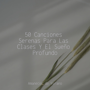 Pétalos Aislados Florecen