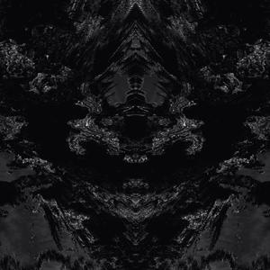 Mental Tensile (meii Remix) (meii Remix)