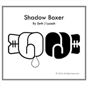 Shadow Boxer