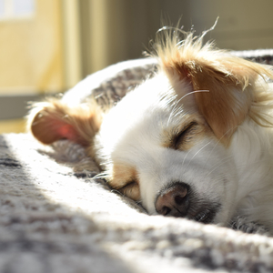 A Lesson in Relaxation