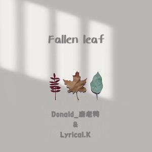 fallen leaf