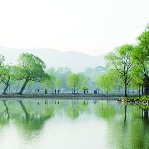 小鸟歌唱