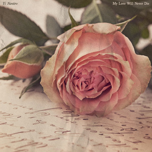 My Love Will Never Die