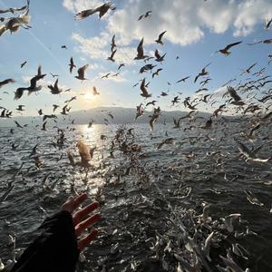 从前那个女孩（热播版）