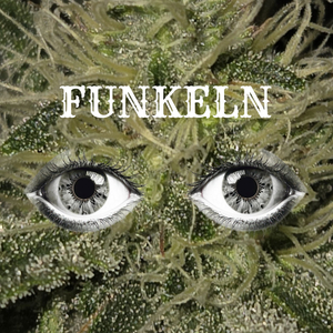Funkeln