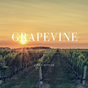 Grapevine