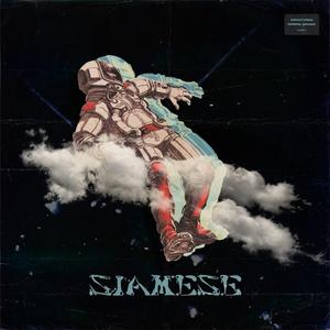 Siamese