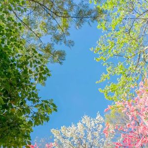 《散落碎片的幻梦之境》