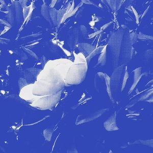 Garbage·001的错拍夜