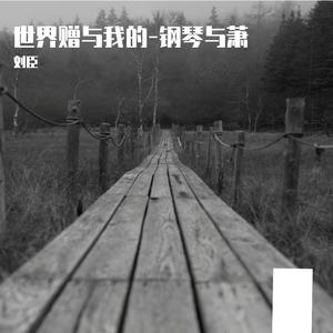 世界赠与我的-钢琴与萧