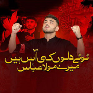 Tootay Dilon Ki Aas Hain Mere Moula Abbas