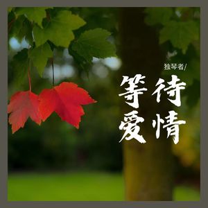 等待爱情 (新编版)