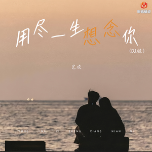 用尽一生想念你(DJ豪大大版)