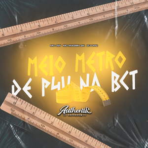 Meio Metro de P4U na Bct