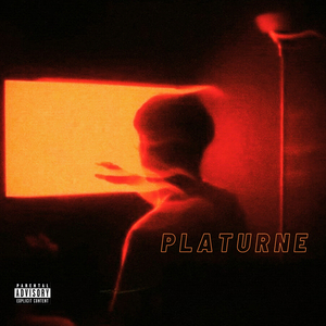 Puriste