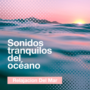 Small Stream, Big Bird Population