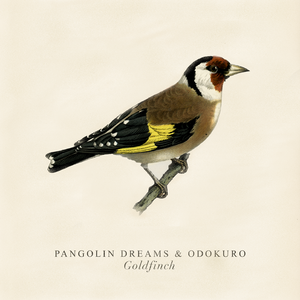 Goldfinch